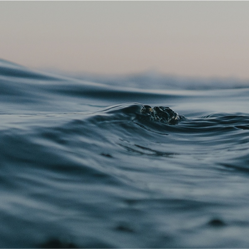 James Fisher is a global supplier of trusted engineering services across the industries we serve, with an unrivalled ability to develop innovative solutions that meet the constantly developing needs of our customers operating in challenging environments.