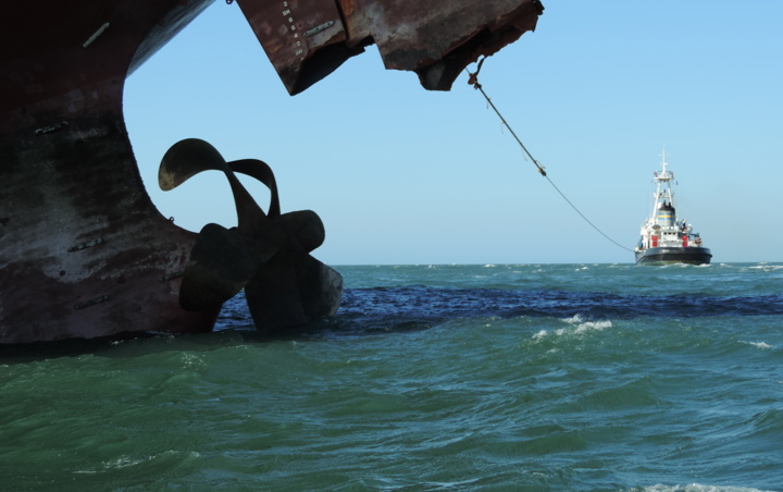 Emergency response brochure icon